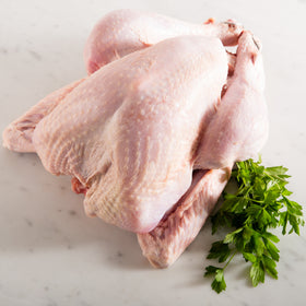 Whole Organic Turkey